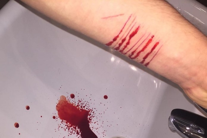 BLUE WHALE COLPISCE ANCORA: ORRORE IN UNA SCUOLA MEDIA - ECCO COSA HANNO FATTO I RAGAZZI - 25/05/2017